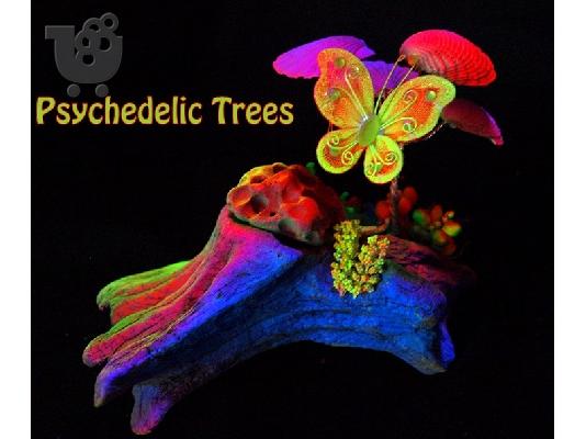 PoulaTo: Psychedelic Trees