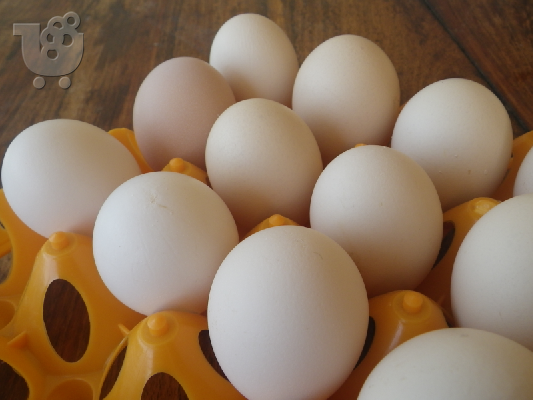 PoulaTo: Αυγά για εκόλαψη από χωριάτικες κότες.