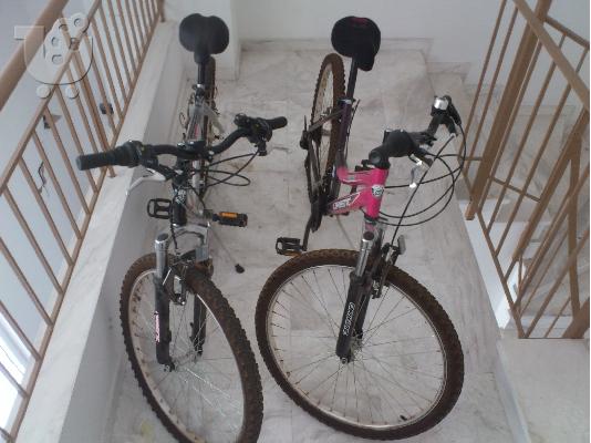 PoulaTo: Ποδήλατα (2) Mountain ανδρικό και γυναικείο
