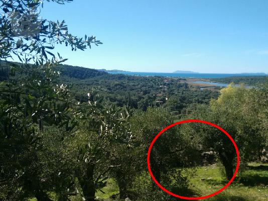 PoulaTo: Πωλείται οικόπεδο στη Βόρεια Κέρκυρα κοντά στη θάλασσα με θέα την λίμνη Αντινιότη και την παραλία Αγίου Σπυρίδωνος