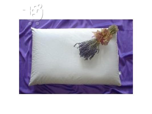 PoulaTo: ανατομικά μαξιλάρια με γέμιση φαγοπυρου, λόγω διάλυσης απο 60€ μόνο 18€ 