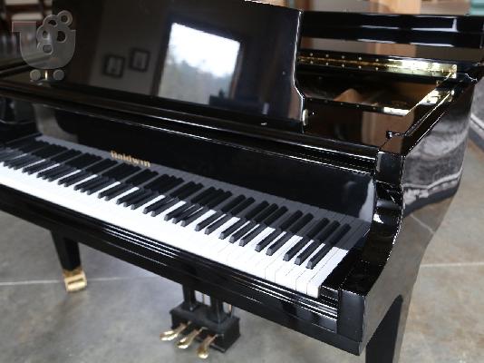 PoulaTo: πληκτρολόγιο για πιάνο 88 κλειδιά Baby Grand