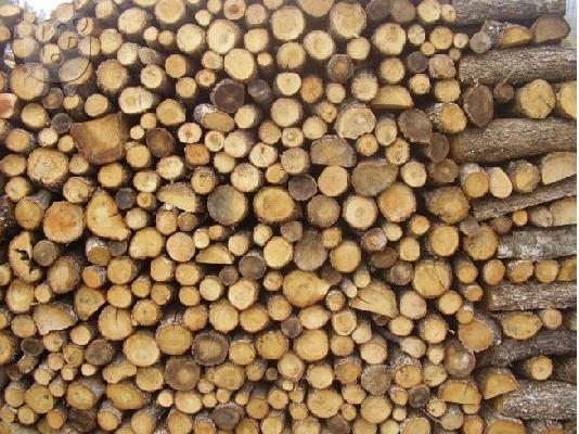 PoulaTo: Πωλούνται ξύλα