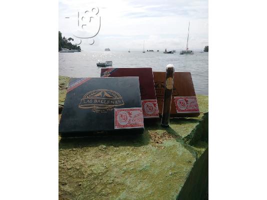 PoulaTo: HAND MADE CIGARS LAS BALLENAS DOMINICAN REPUBLIC  24 PCS (LARGE SIZE) AND 20 PCS SMALL SIZE WITH CHOCOLATE FLAVOR