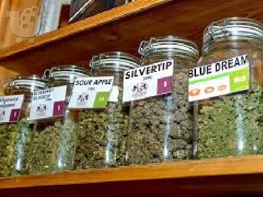 PoulaTo: υψηλής ποιότητας ιατρική μαριχουάνα και άλλες ποικιλίες προς πώληση σε πολύ καλή τιμή