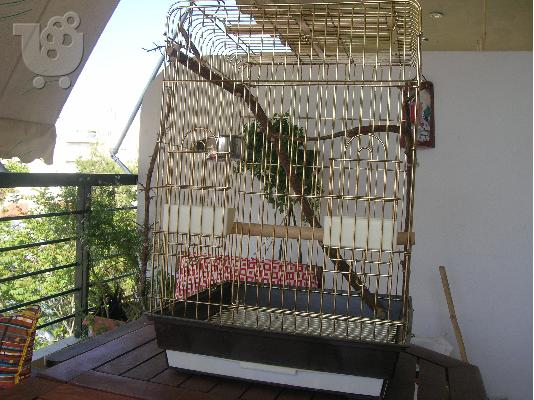 PoulaTo: Κλουβί παπαγάλου