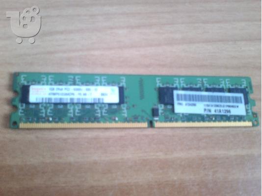 PoulaTo: Hynix Desktop Memory 1GB 2Rx8 667mhz