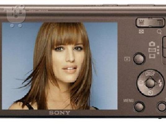 Sony Cyber-shot DSC-W510 - 12.1 Mpixels