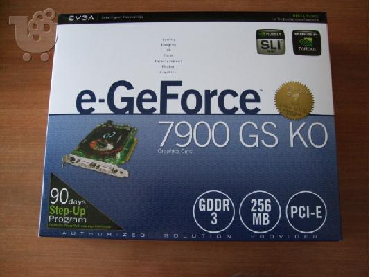 PoulaTo: GeForce 7900GS, 256MB DDR3, 256bit Memory Interface.