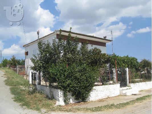 PoulaTo: Πωλείται σπίτι διώροφο μέσα σε 1,5 στρέμα οικόπεδο με δέντρα κ αποθήκη