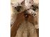 PoulaTo: 4 όμορφα γατάκια Ragdoll