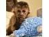 PoulaTo: Χαριτωμένοι πίθηκοι καπουτσίνοι