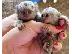 PoulaTo: Καλά εκπαιδευμένοι μαϊμούδες Marmoset