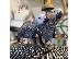 PoulaTo: Χριστουγεννιάτικο δώρο Αφρικανικοί γκρίζοι παπαγάλοι...