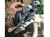 PoulaTo: Αφρικανικοί γκρίζοι παπαγάλοι που εκτρέφονται με το χέρι...
