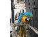 PoulaTo: Μπλε και χρυσός παπαγάλος Macaw