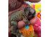 PoulaTo: Χαριτωμένο μωρό Marmoset μωρών διαθέσιμα