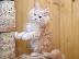 PoulaTo: Όμορφη γατάκια Maine Coon!