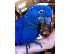 PoulaTo: Μωρό υάκινθος παπαγάλος macaw