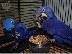 PoulaTo: Beautiful hyacinth macaw parrot