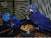 PoulaTo: Υγιείς άνδρες και γυναίκες Υάκινθος Macaw διαθέσιμο...