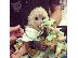 PoulaTo: ιδρώτα μαϊμού καπουκίνος μωρό για πώληση Σκιουράκια...