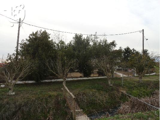 Πωλειται μονοκατοικια σε ησυχη περιοχη στο Κερατσινι....