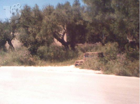 Οικοπεδο 3500τμ.Ζακυνθο-Αγιος Κηρυκας