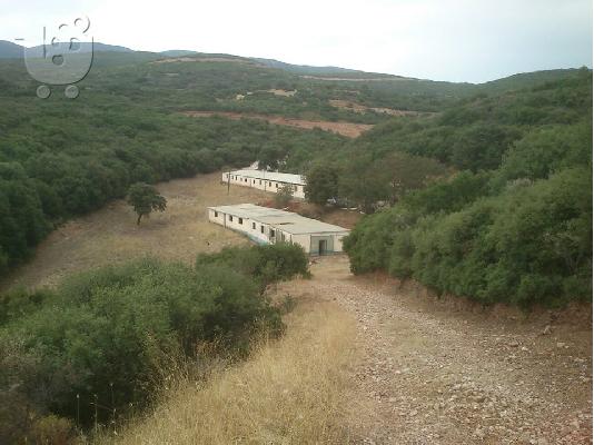 PoulaTo: ΕΝΟΙΚΙΑΖΩ ΧΩΡΑΦΙΑ ΚΑΙ ΚΤΙΡΙΑ ΓΙΑ ΜΟΝΑΔΑ-ΦΑΡΜΑ