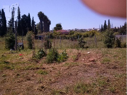 Πωληση οικοπεδου