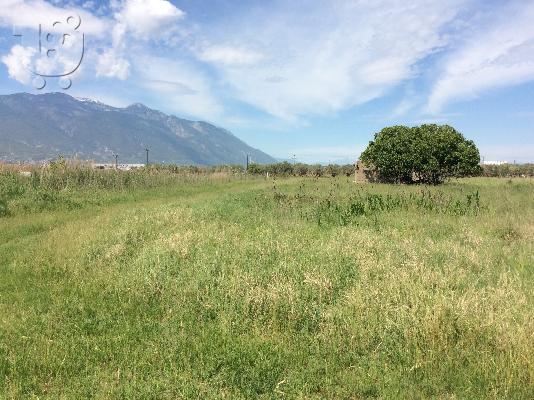 ΠΩΛΕΙΤΑΙ ΑΓΡΟΤΕΜΑΧΙΟ 3,4 ΣΤΡΕΜΑΤΑ