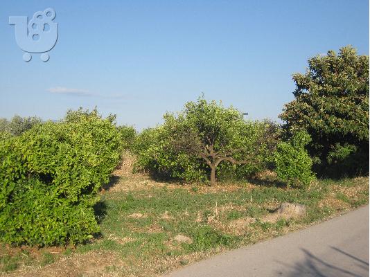Πωλείται αγροτεμάχιο, περιοχή Γελινιατίκων Δήμου Ξυλοκάστρου...