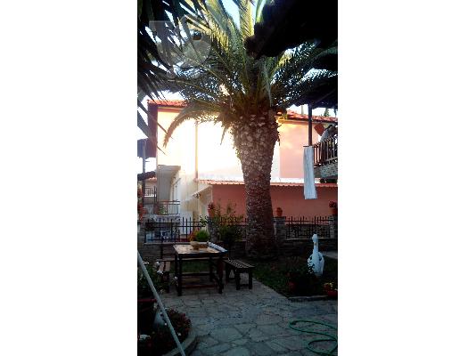 Πωλείται φοίνικας 7- 8 μέτρα.