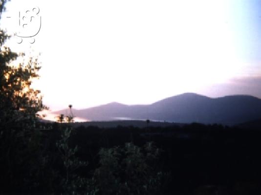 Πωλείται Αγροτεμάχιο 12 στρεμμάτων Αλμυροπόταμος Στύρα Εύβοια...