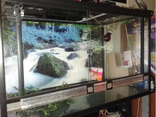 terrarioum