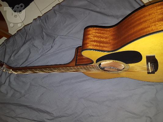 Takamine G-Series (ηλεκτρακουστική)