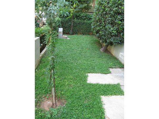 διαμερισματακι 82 τμ 146.000€ - ιδιαιτερα λειτουργικο καταλευκο ανακαινισμενο σε μικρη διο...