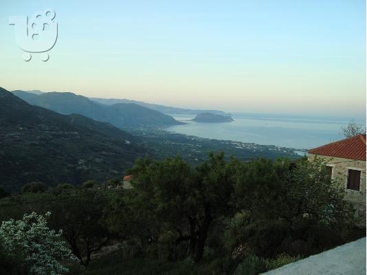 οικοπεδο