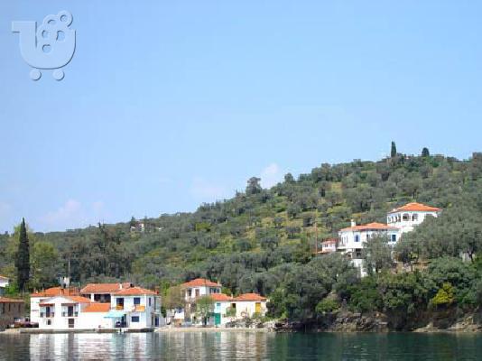 οικοπεδα προς πωληση στο Πηλιο Βολος Τρικερι