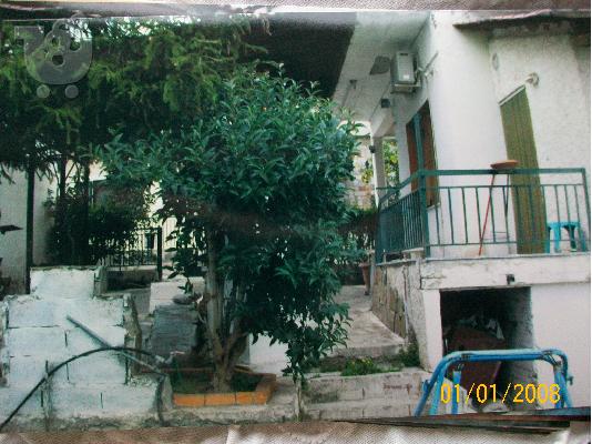 ΜΟΝΟΚΑΤΟΙΚΙΑ ΣΤΟ ΓΥΜΝΟ ΕΥΒΟΙΑΣ
