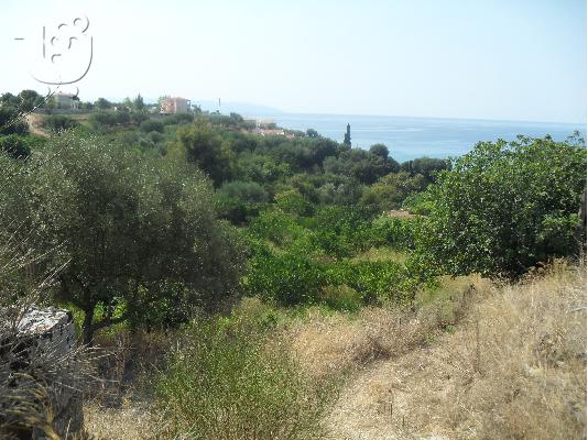 πωλειται οικοπεδο στην κεφαλονια