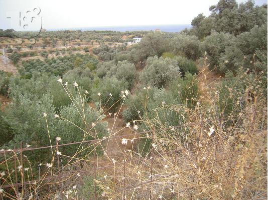 Οικόπεδο 1.5 στρ., θέα θάλ. στην Αγία Τριάδα