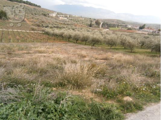 PoulaTo: ΠΩΛΕΙΤΑΙ ΟΙΚΟΠΕΔΟ
