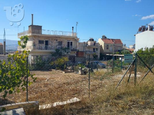 Πώληση οικόπεδο Καματερό - Άτταλος 295τμ
