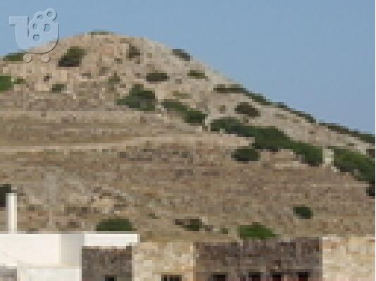αγροτεμαχιο