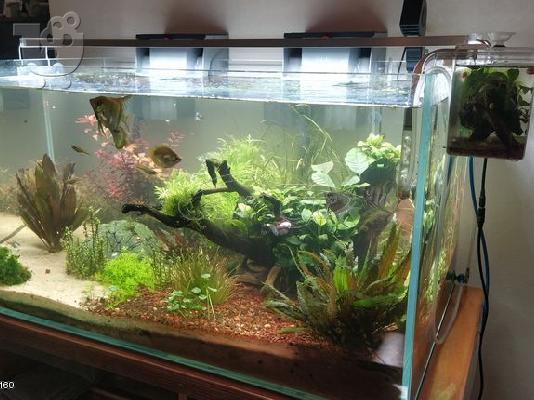 ΠΩΛΕΙΤΑΙ ΚΑΙΝΟΥΡΙΟ ΕΝΥΔΡΕΙΟ EHEIM EXTRA CLEAR TANK 200
