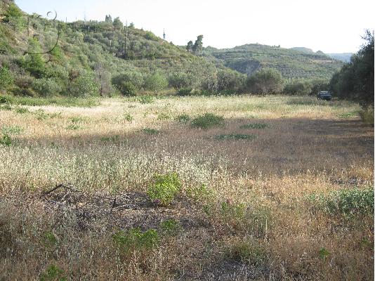 PoulaTo: Πωλείται αγροτεμάχιο, περιοχή Γελινιατίκων Δήμου Ξυλοκάστρου