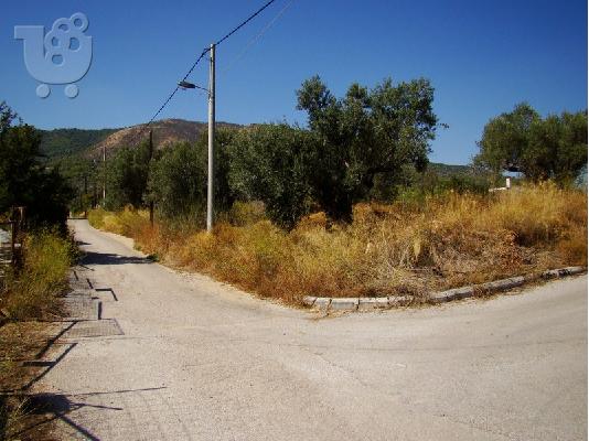 PoulaTo: ΑΞΙΟΠΟΙΗΣΙΜΗ ΓΗ,ΟΙΚΟΠΕΔΟ!!!!  KFKMGM7560GL1