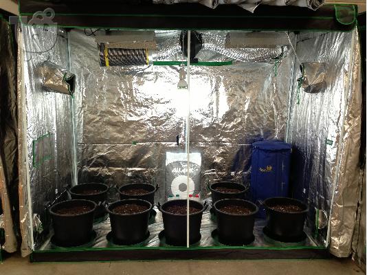 grow tend 2x2x2 ΠΩΛΕΊΤΕ