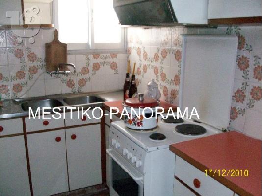 εξαιρετικη μεζονετα